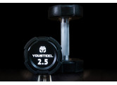 Гантель EVO 2,5кг полиуретановая YouSteel