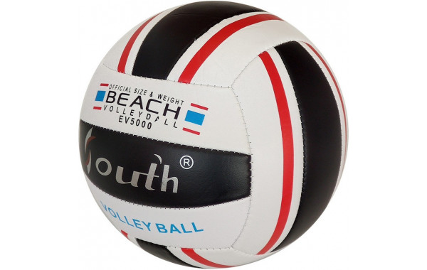 Мяч волейбольный Sportex E33541-4 р.5 600_380