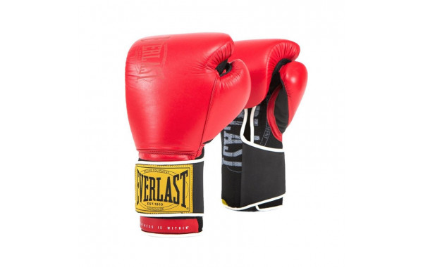 Боксерские перчатки Everlast 1910 Classic 16oz красный P00001708 600_380