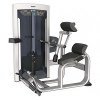 Разгибание спины Impulse 134 кг FE9732