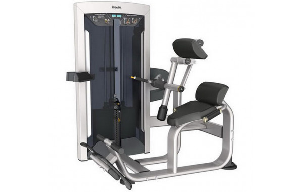 Разгибание спины Impulse 134 кг FE9732 600_380