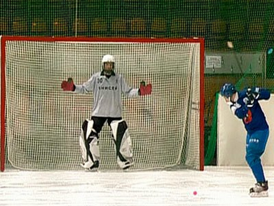 фото Сетка для ворот хоккея с мячом профсетка нить 3,0 мм 4130-01