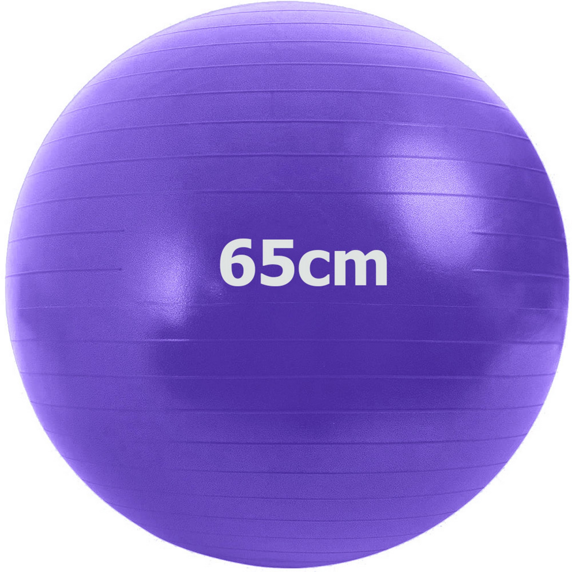 Мяч гимнастический Anti-Burstl d65 см Sportex GMA-65-D фиолетовый 2000_2000