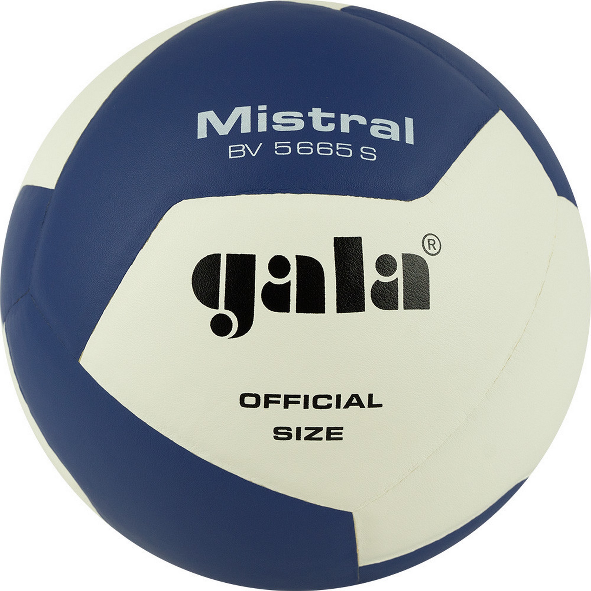 Купить Мяч волейбольный Gala Mistral 12 BV5665S р. 5,