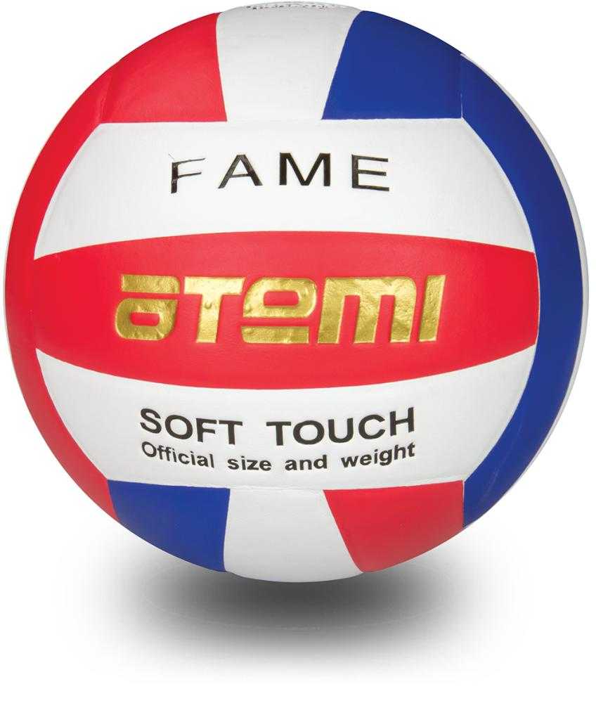 Купить Мяч волейбольный Atemi Fame р.5,