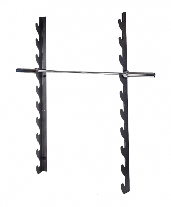 Держатель для 10 олимпийских грифов Original Fit.Tools настенный горизонтальный FT-FWH-10,  - купить со скидкой