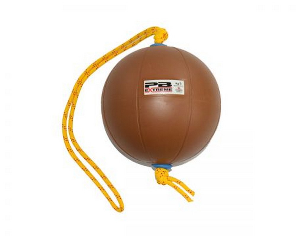 Функциональный мяч 5 кг Perform Better Extreme Converta-Ball 3209-05-5.0 коричневый 1000_800