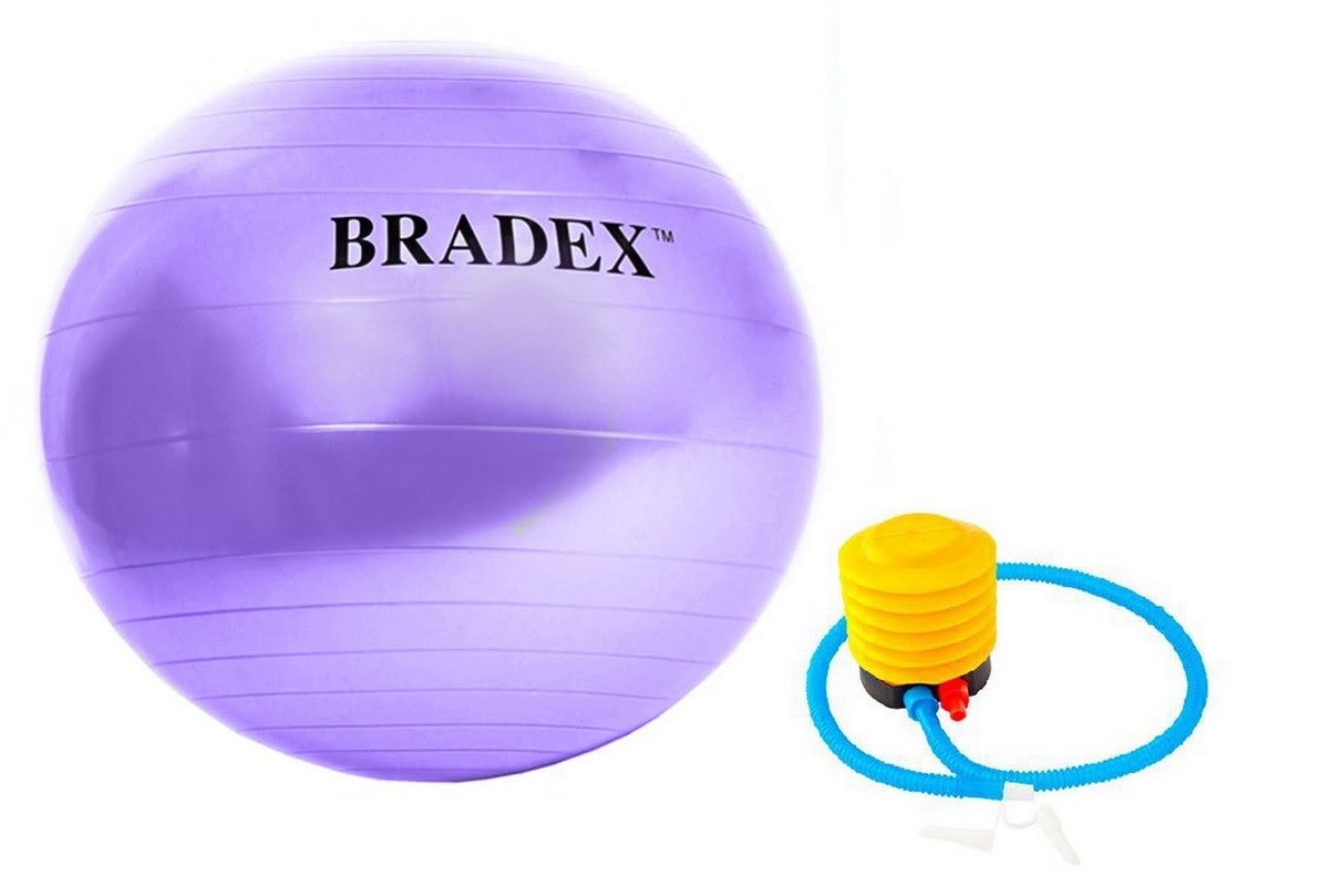 Купить Мяч для фитнеса d65cм Bradex Фитбол-65 с насосом SF 0718 фиолетовый,