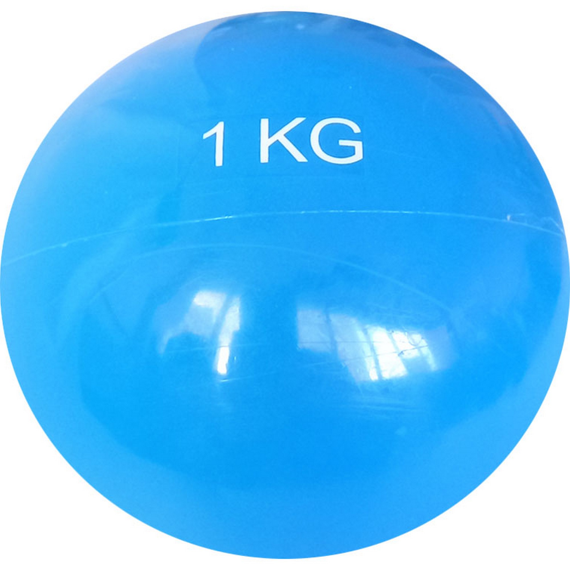 Медбол 1 кг, d12см Sportex MB1 голубой