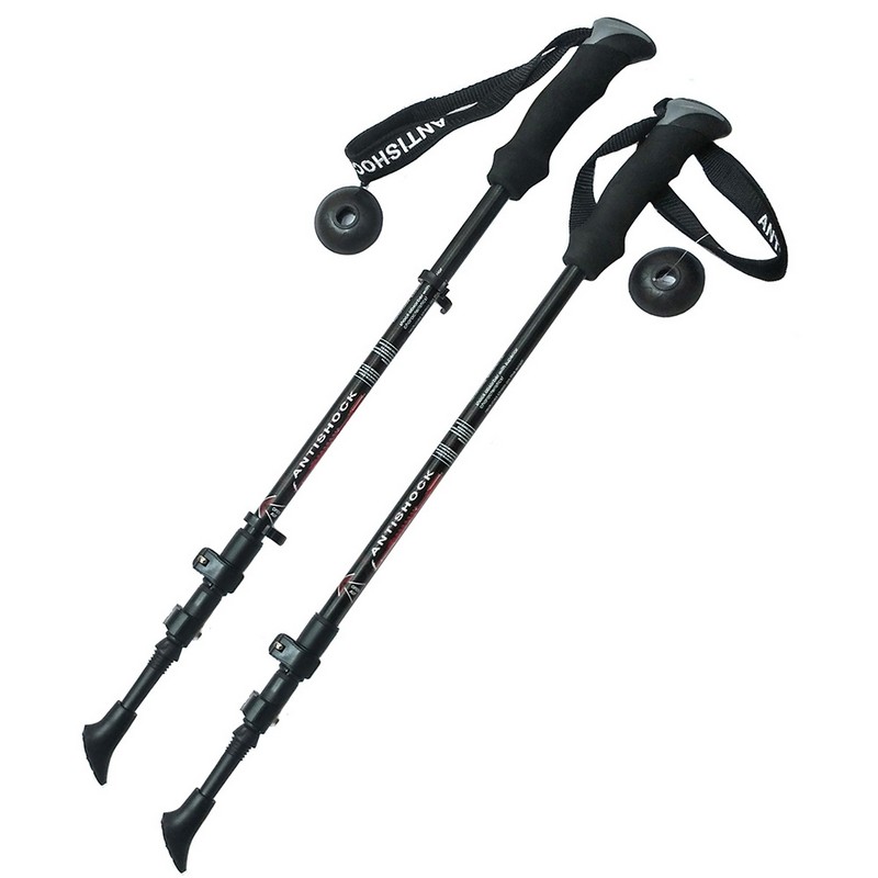 Купить Палки для скандинавской ходьбы телескопическая, 3-х секционная Sportex F18447 черный,