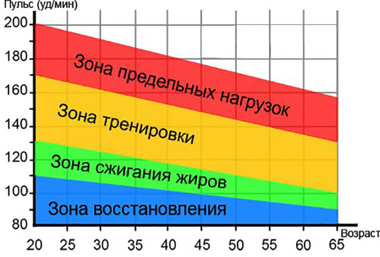 Оптимальный пульс для сжигания жира при занятии на кардиотренажере