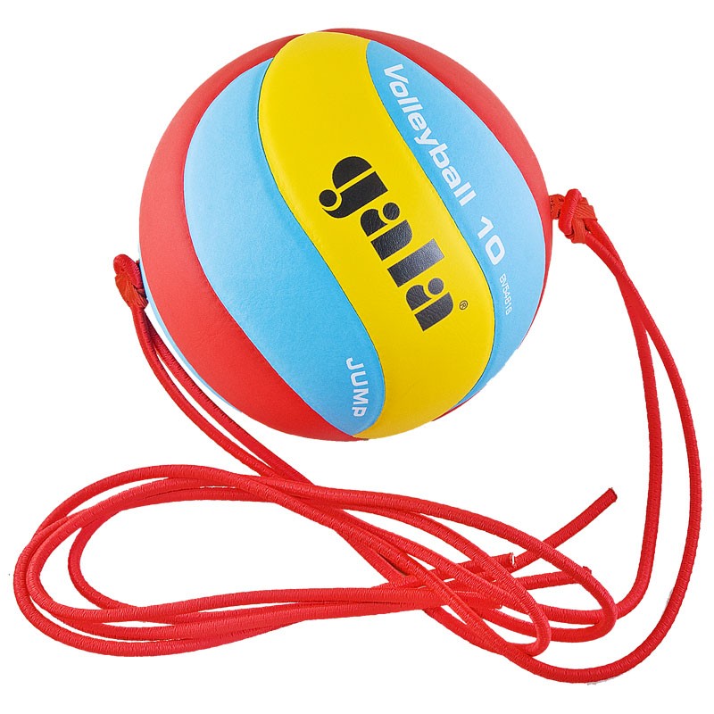 Купить Мяч волейбольный на растяжках Gala Jump №5 BV5481S,