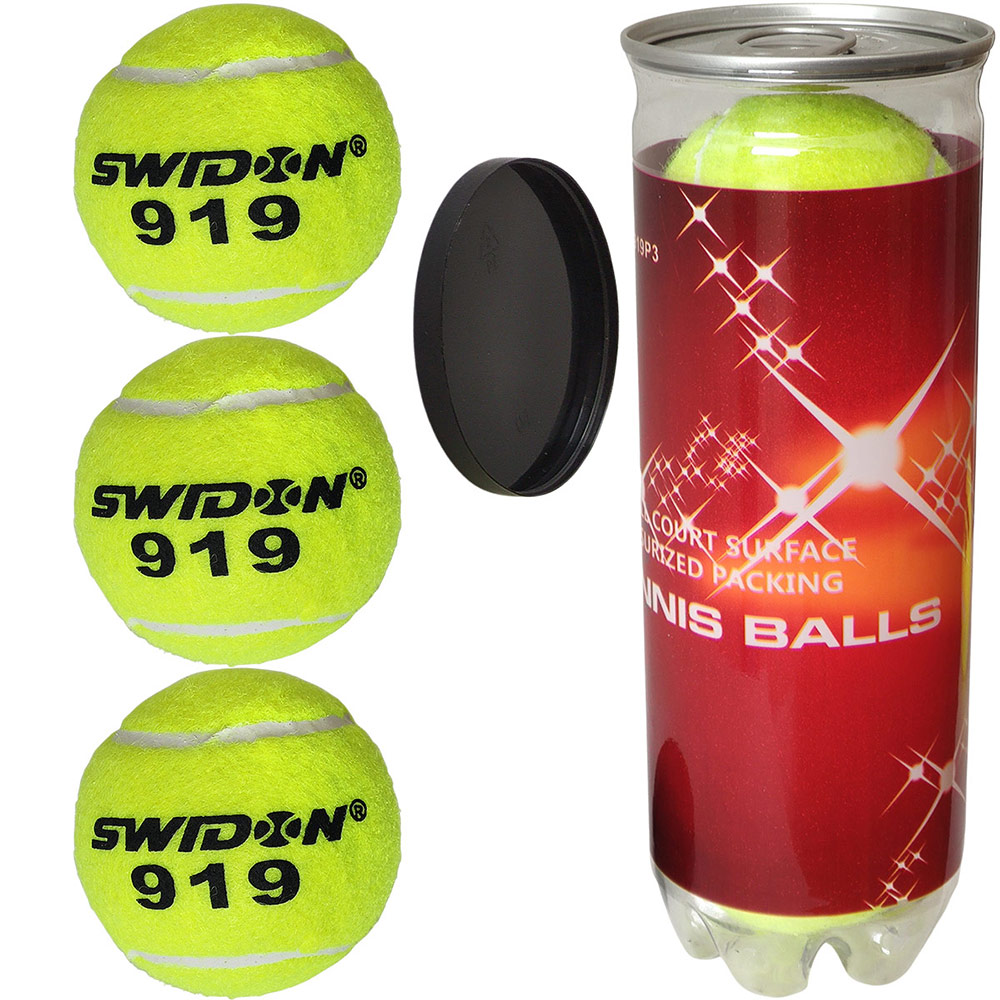Купить Мячи для большого тенниса Swidon 919 3 штуки (в тубе) E29379, NoBrand