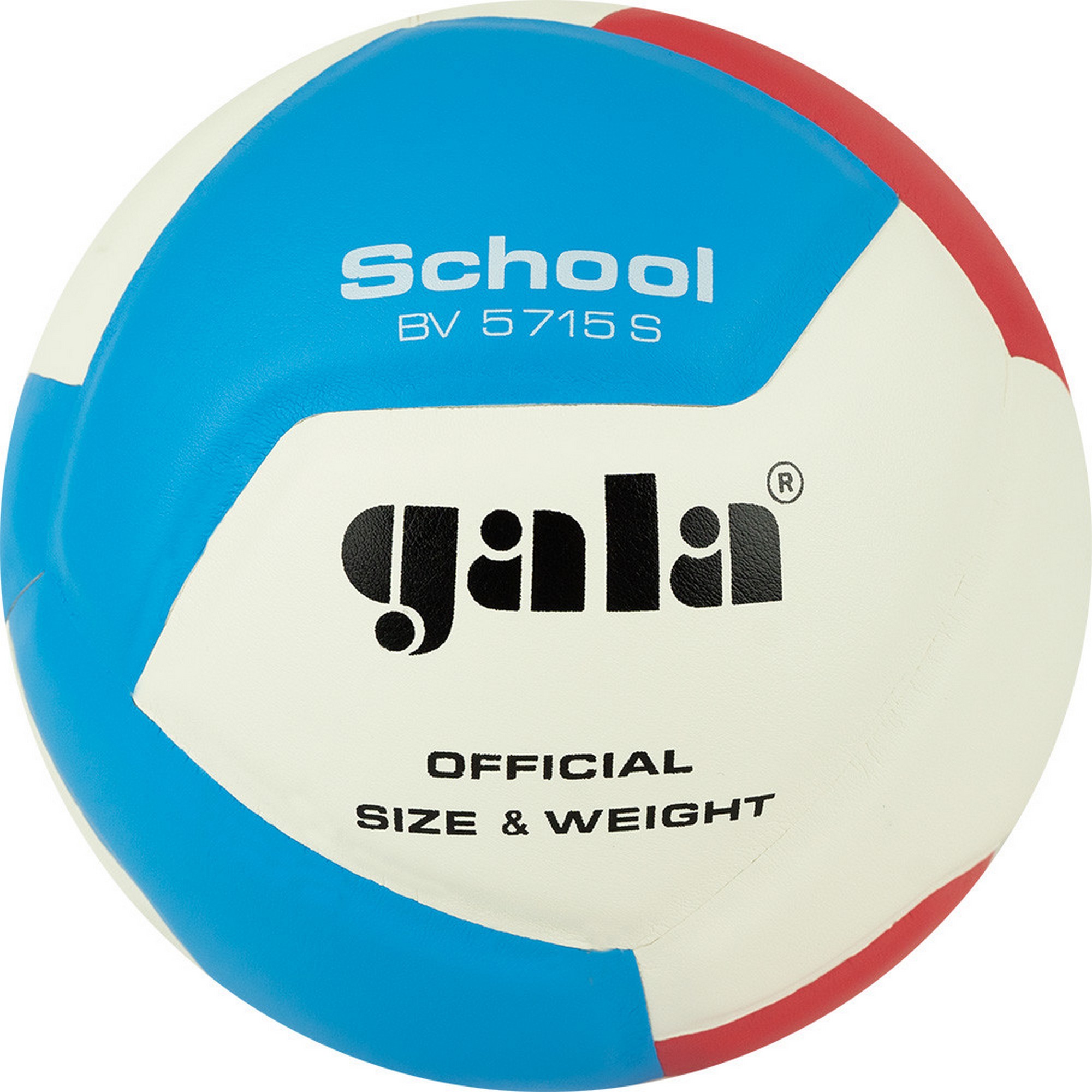 

Мяч волейбольный Gala School 12 BV5715S р. 5