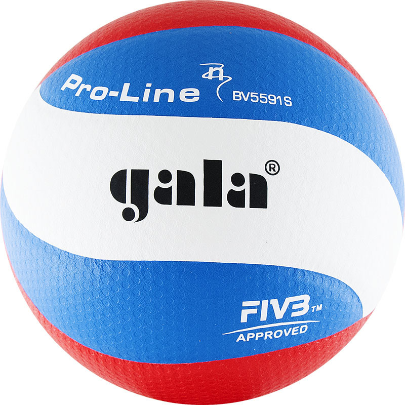 фото Мяч волейбольный gala pro-line top bv5591s р.5