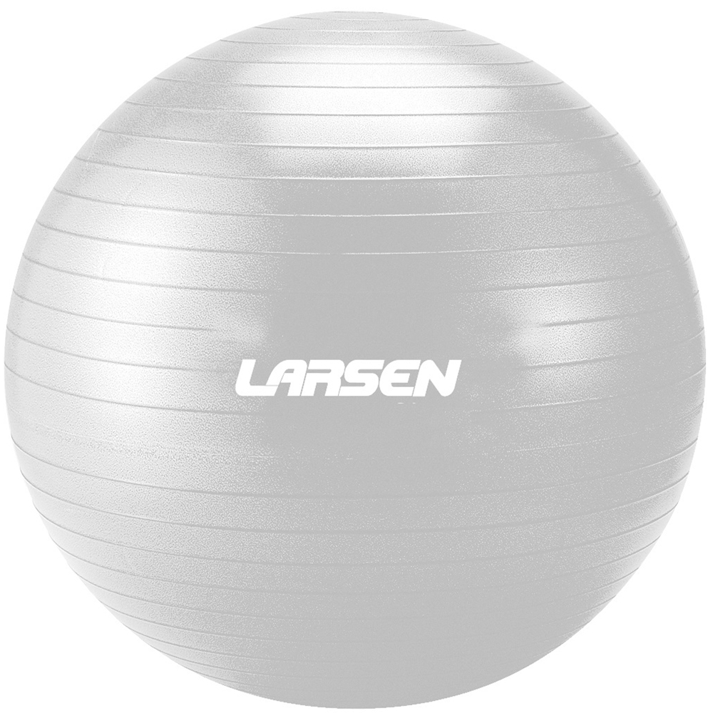 

Мяч гимнастический с насосом d65 см Larsen HG-3 серебристый