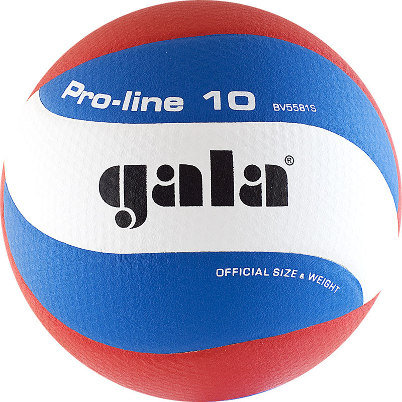 Купить Мяч волейбольный Gala Pro-line 10 BV5581S р.5,