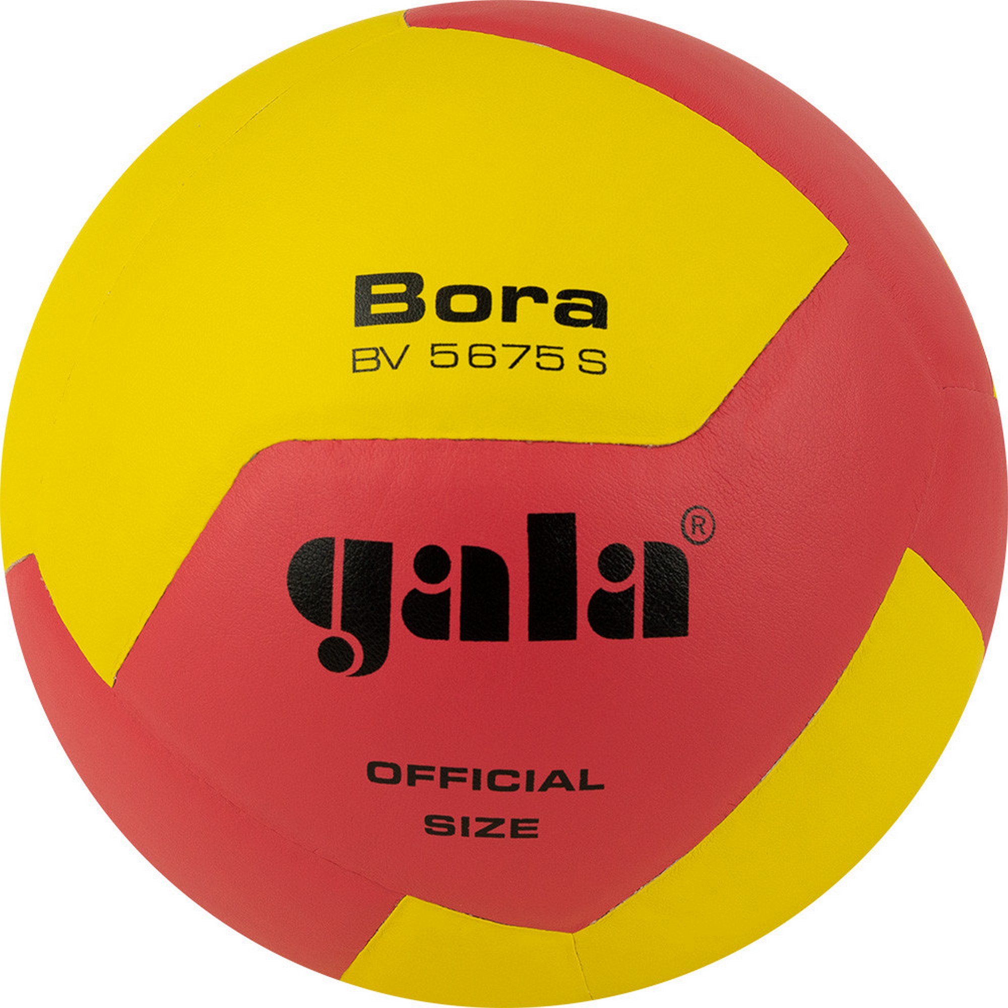Купить Мяч волейбольный Gala Bora 12 BV5675S р. 5,