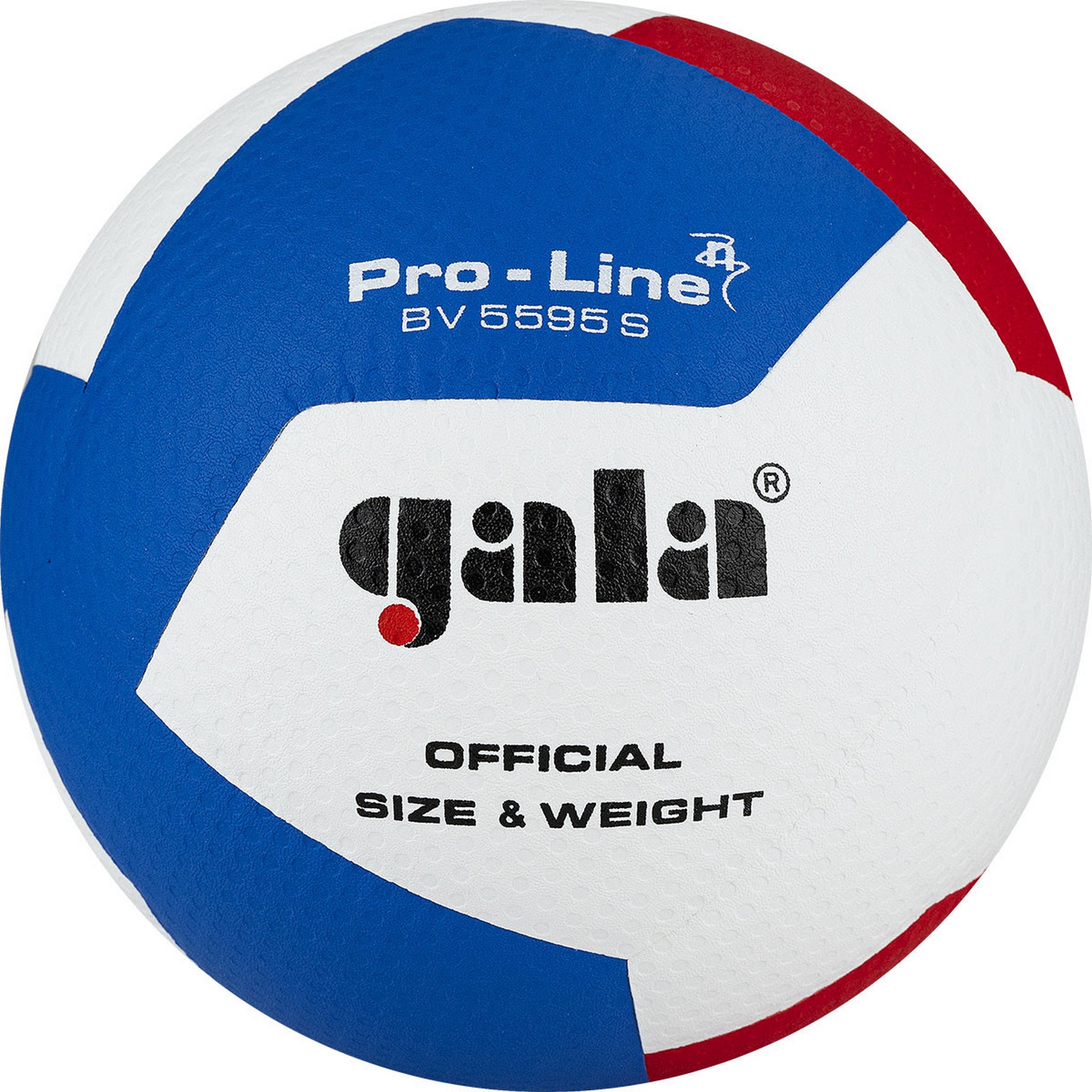 фото Мяч волейбольный gala pro-line 12 bv5595sa р. 5