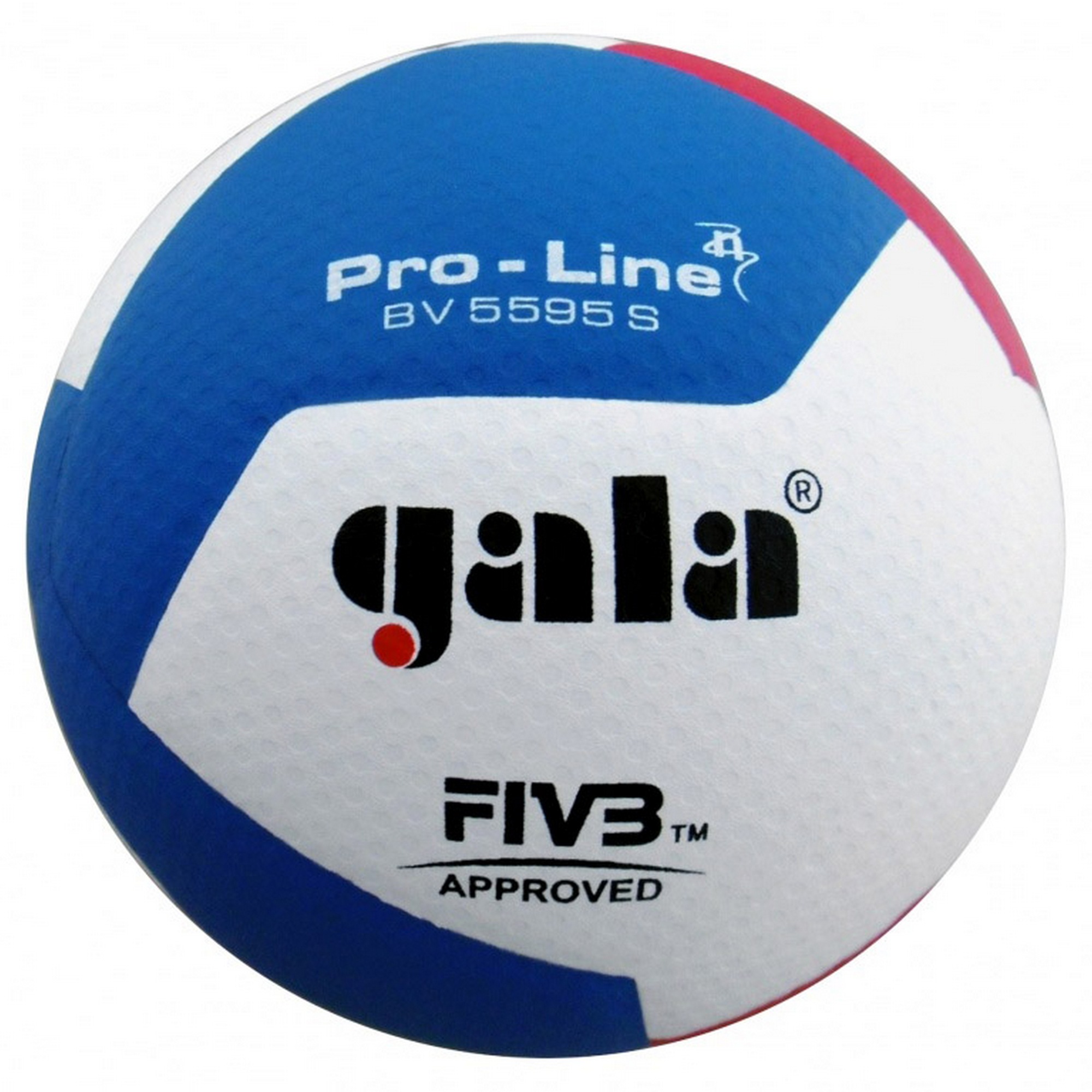   Gala Pro-Line 12 FIVB BV5595S .5