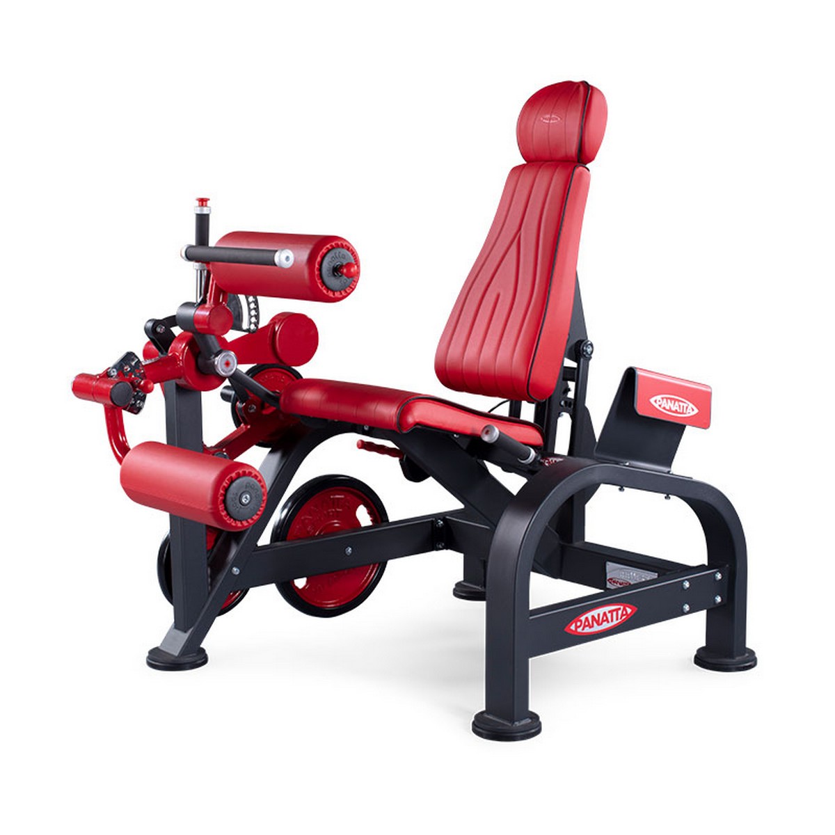 

Сгибание ног сидя Panatta 1FW183