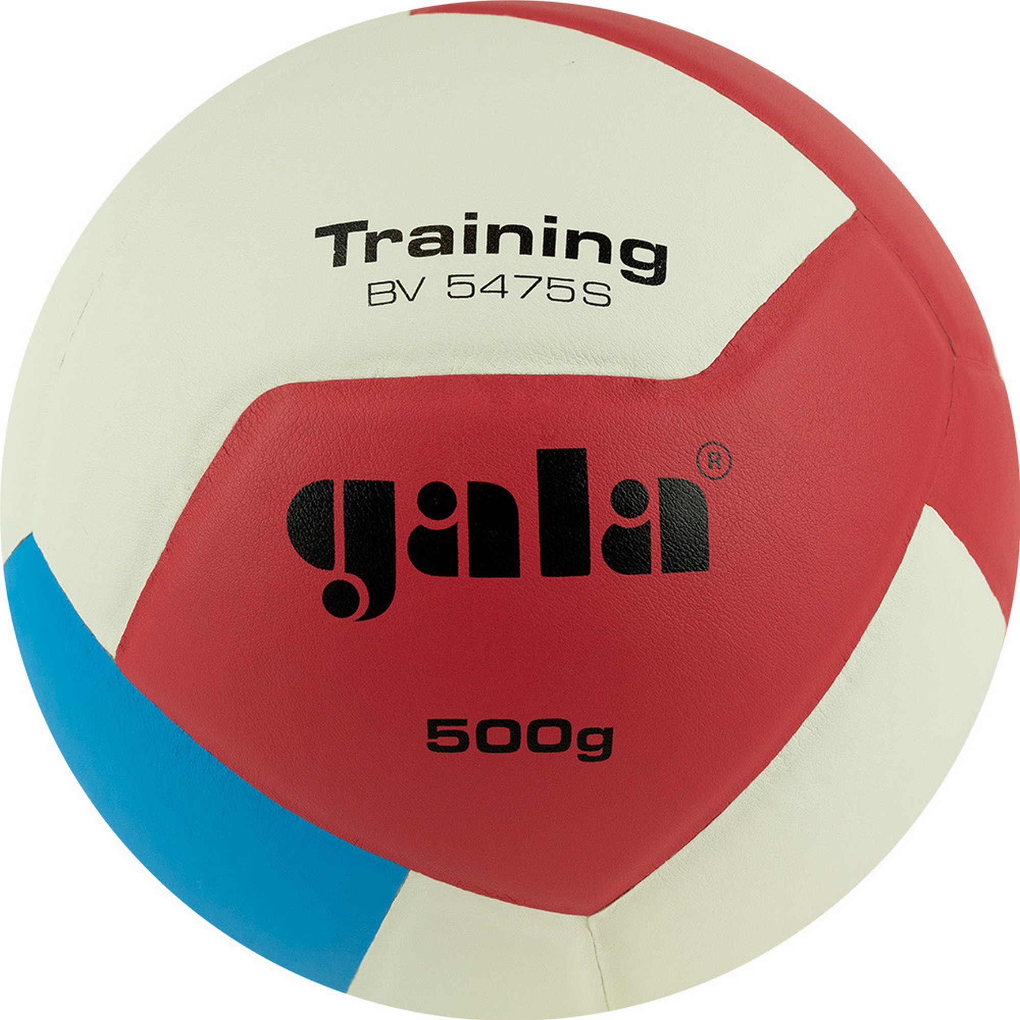Купить Мяч волейбольный Gala Training Heavy 12 BV5475S р.5,