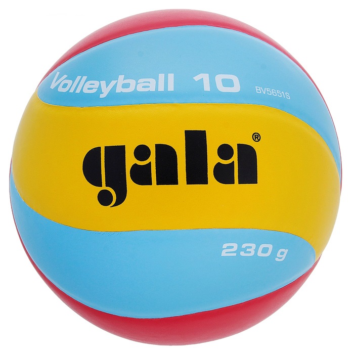 Купить Мяч волейбольный Gala 230 Light 10 №5 ПУ BV5651S,