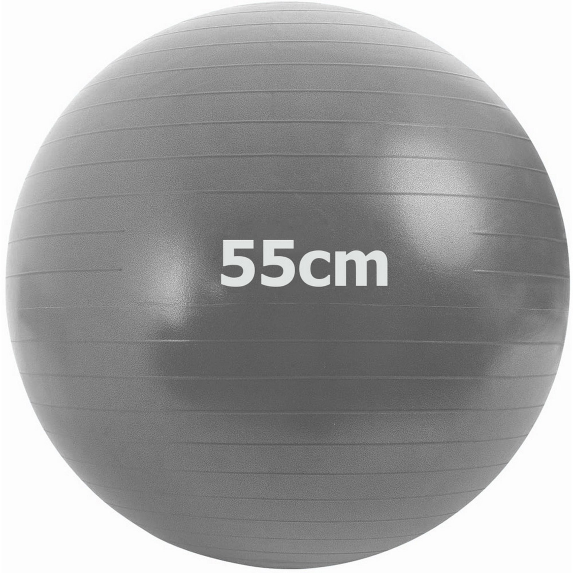 Купить Мяч гимнастический Anti-Burstl d55 см Sportex GMA-55-A серый,
