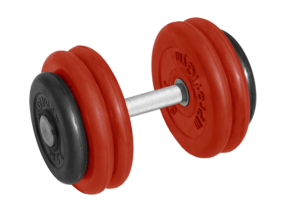 

Гантель обрезиненная ProfiGym с хромированной ручкой 26 кг, цветная ГНЦ -26
