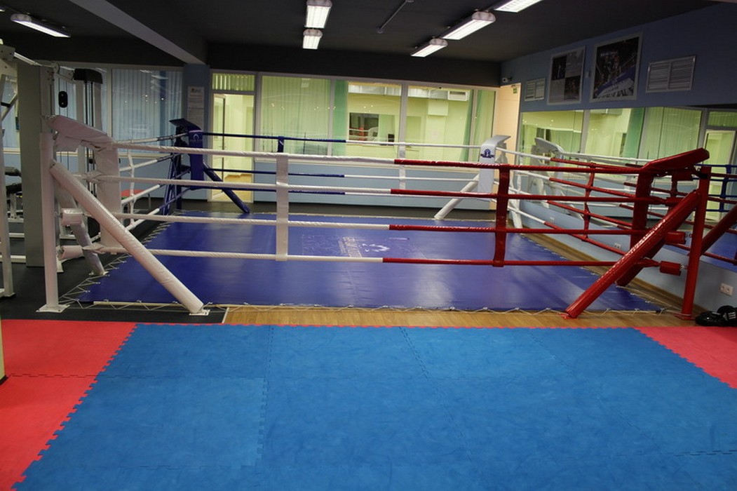 Ринг боксерский на упорах Atlet 5х5м, боевая зона 4х4 м, монтажная площадка 5х5 м IMP-A431 1051_700