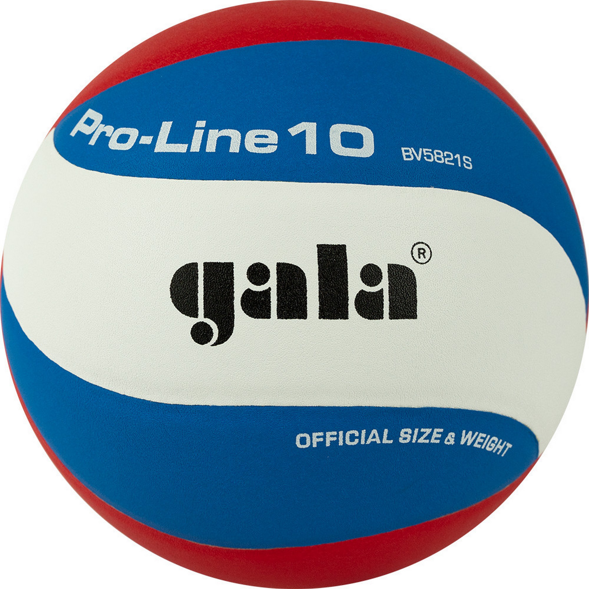 Мяч волейбольный Gala Pro-Line 10 BV5821SA р. 5