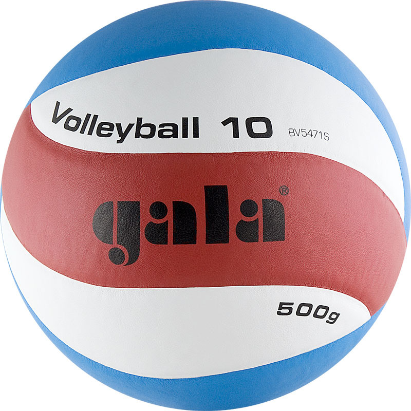 Купить Мяч волейбольный Gala Training Heavy 10 BV5471S р.5, утяжеленный,