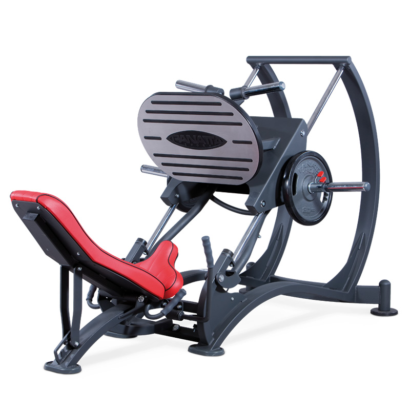 

Жим ногами под углом 45 градусов по направляющим Panatta 1HP586