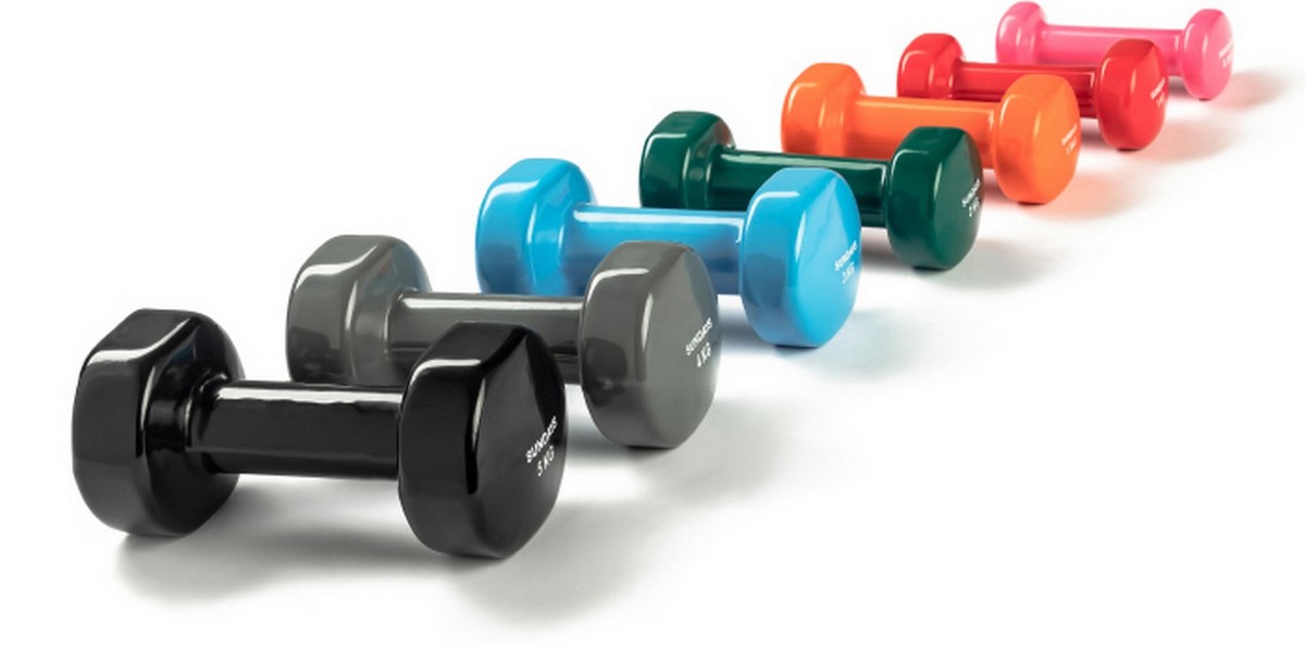 Гантель 4кг Sundays Fitness IR92005 6062980 серый 1200_595