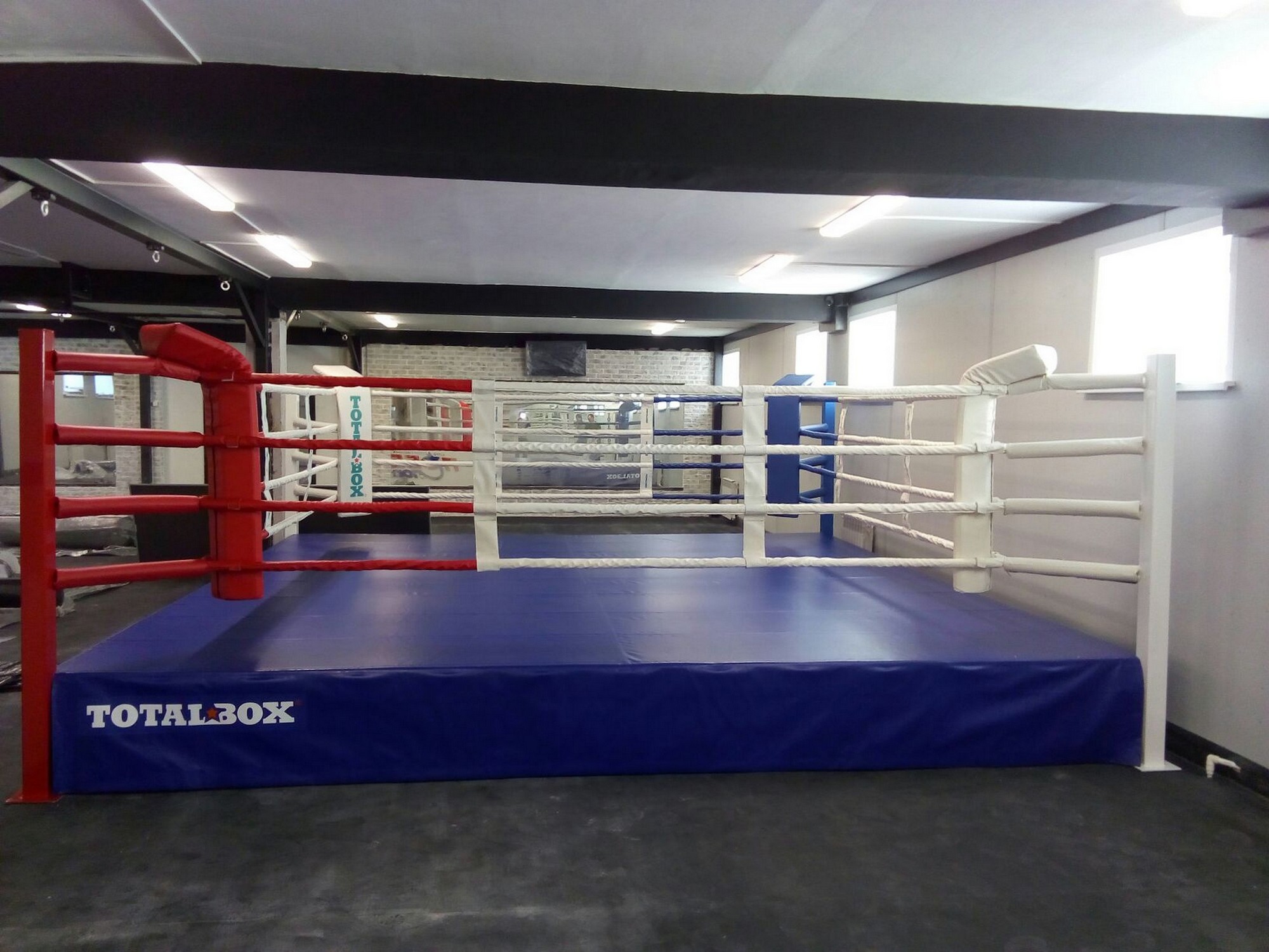 Купить Боксерский ринг на помосте 0,5 м Totalbox размер по канатам 5×5 РП 5-05,