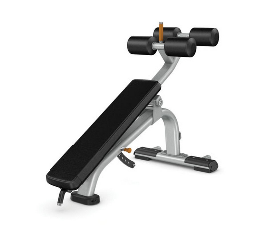    Precor DBR113