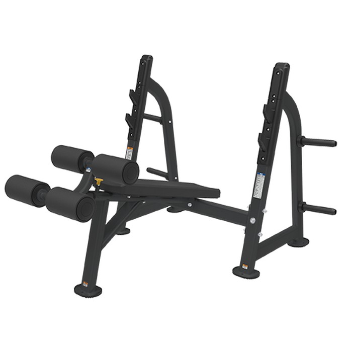       Bronze Gym BR-1013