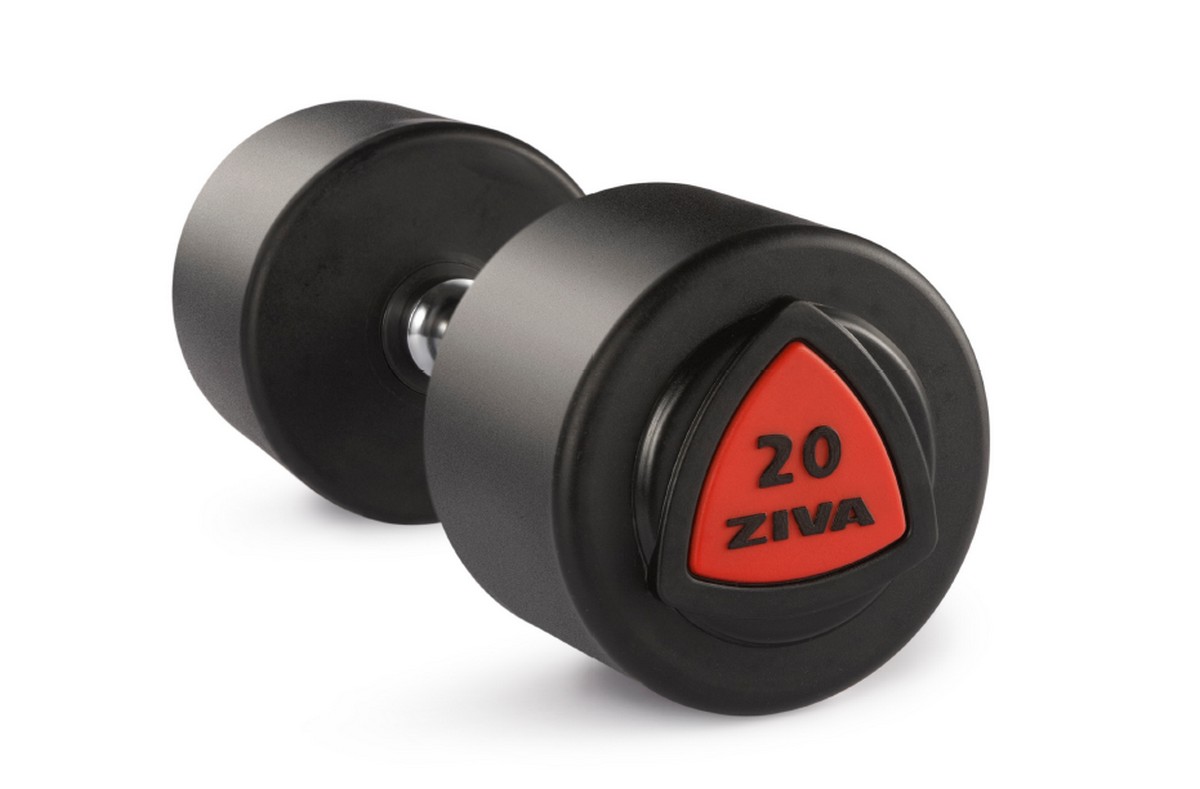 Купить Гантель серии ZVO уретановое покрытие красная вставка 38 кг Ziva ZVO-DBPU-1025,