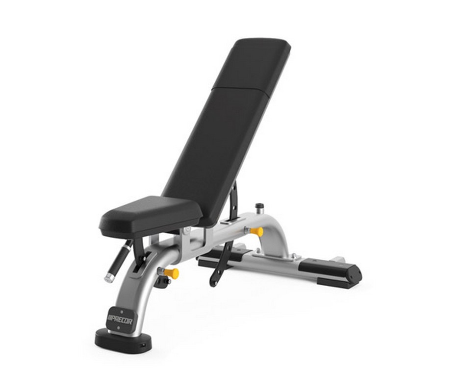   Precor DBR119