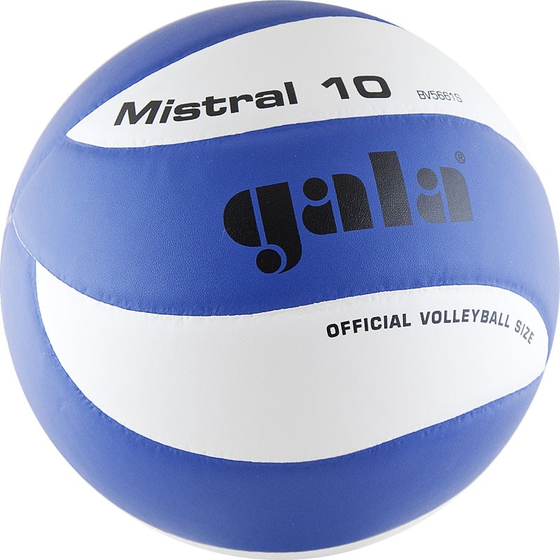 Купить Мяч волейбольный Gala Mistral 10 BV5661S р.5,