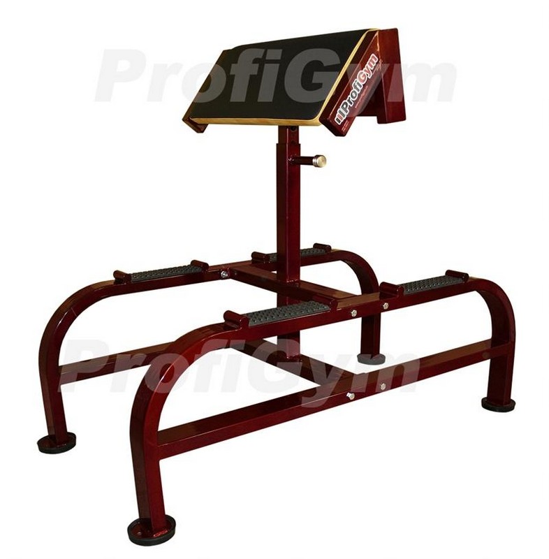 

Скамья Скотта двусторонняя ProfiGym СК-0390-HР (Rubin)