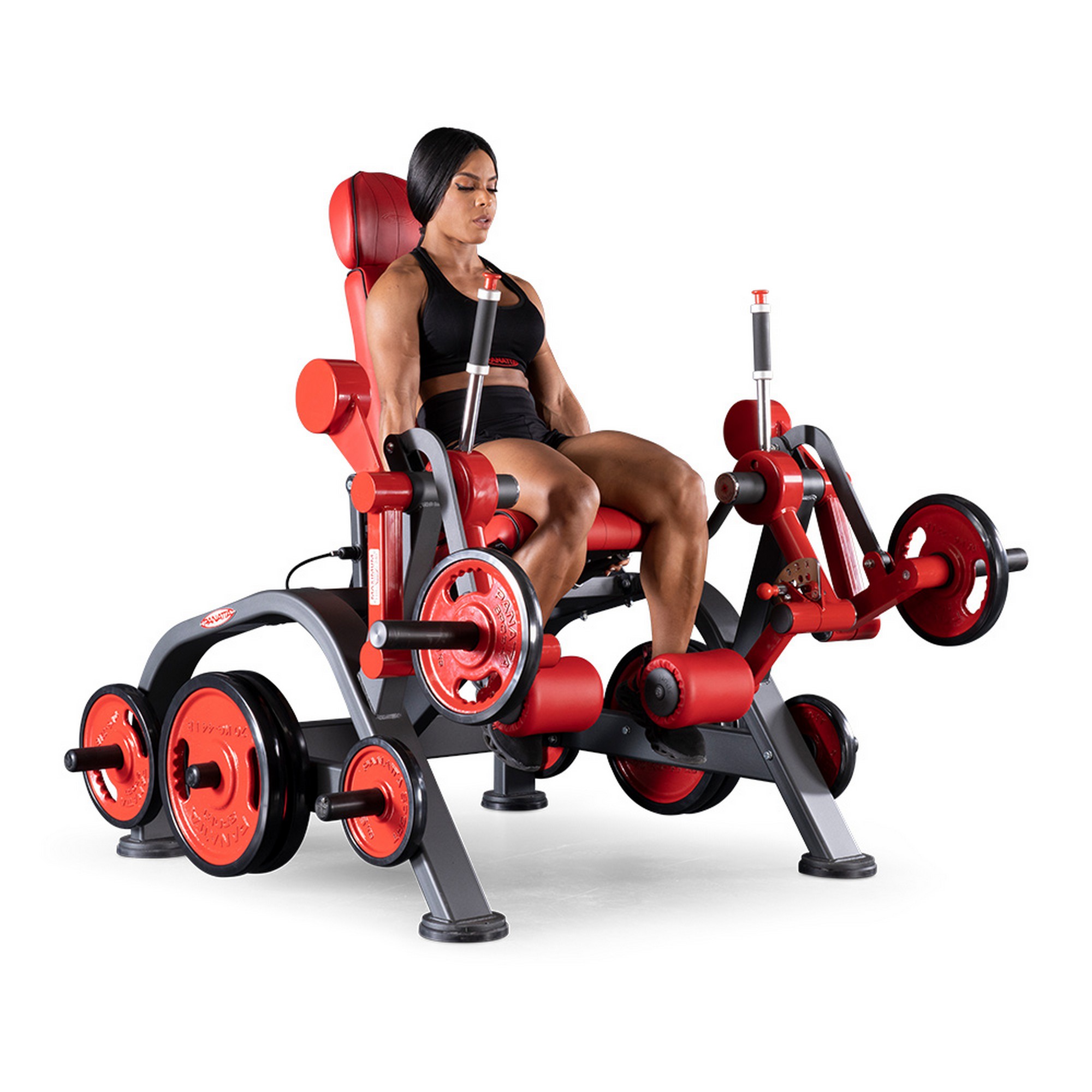 Panatta 1mb10