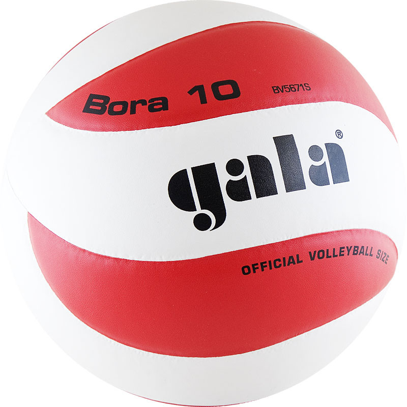 Купить Мяч волейбольный Gala Bora 10 р.5 BV5671S,