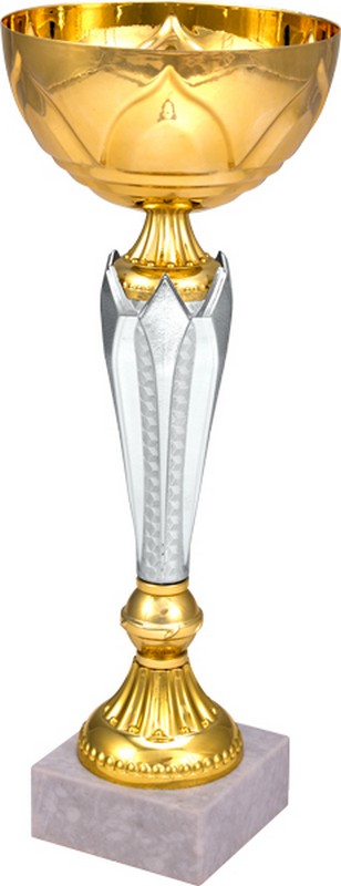 

Кубок 8246B (29.5см) D-100