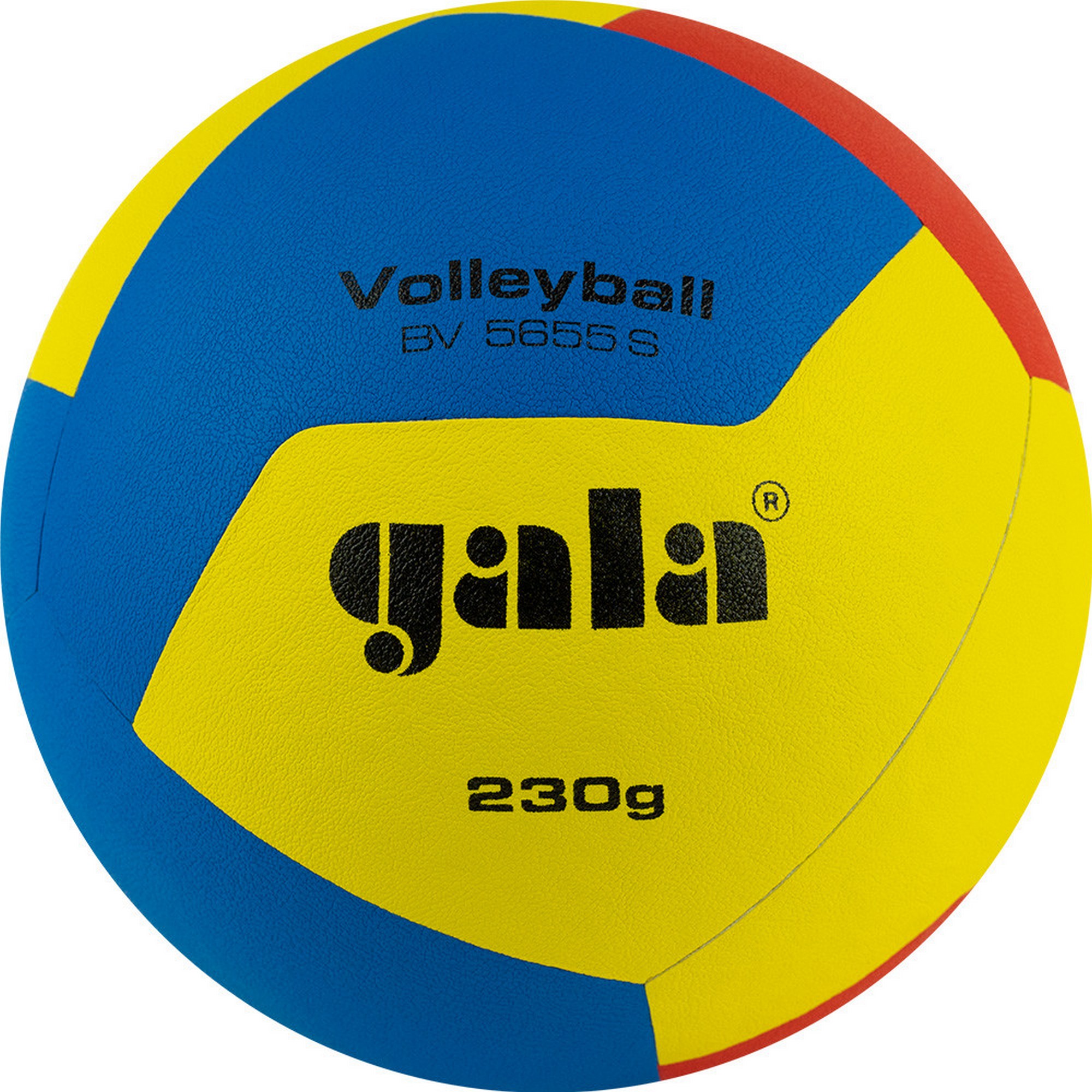 Купить Мяч волейбольный Gala Training 230 12 BV5655S р. 5,