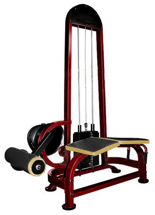 

Бицепс бедра ProfiGym ТГ-0120-CР (Rubin)