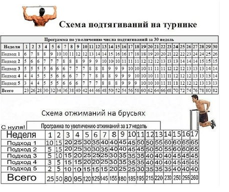 Комплекс упражнений для домашней тренировки. Занятия на все группы мышц – подходят для начинающих