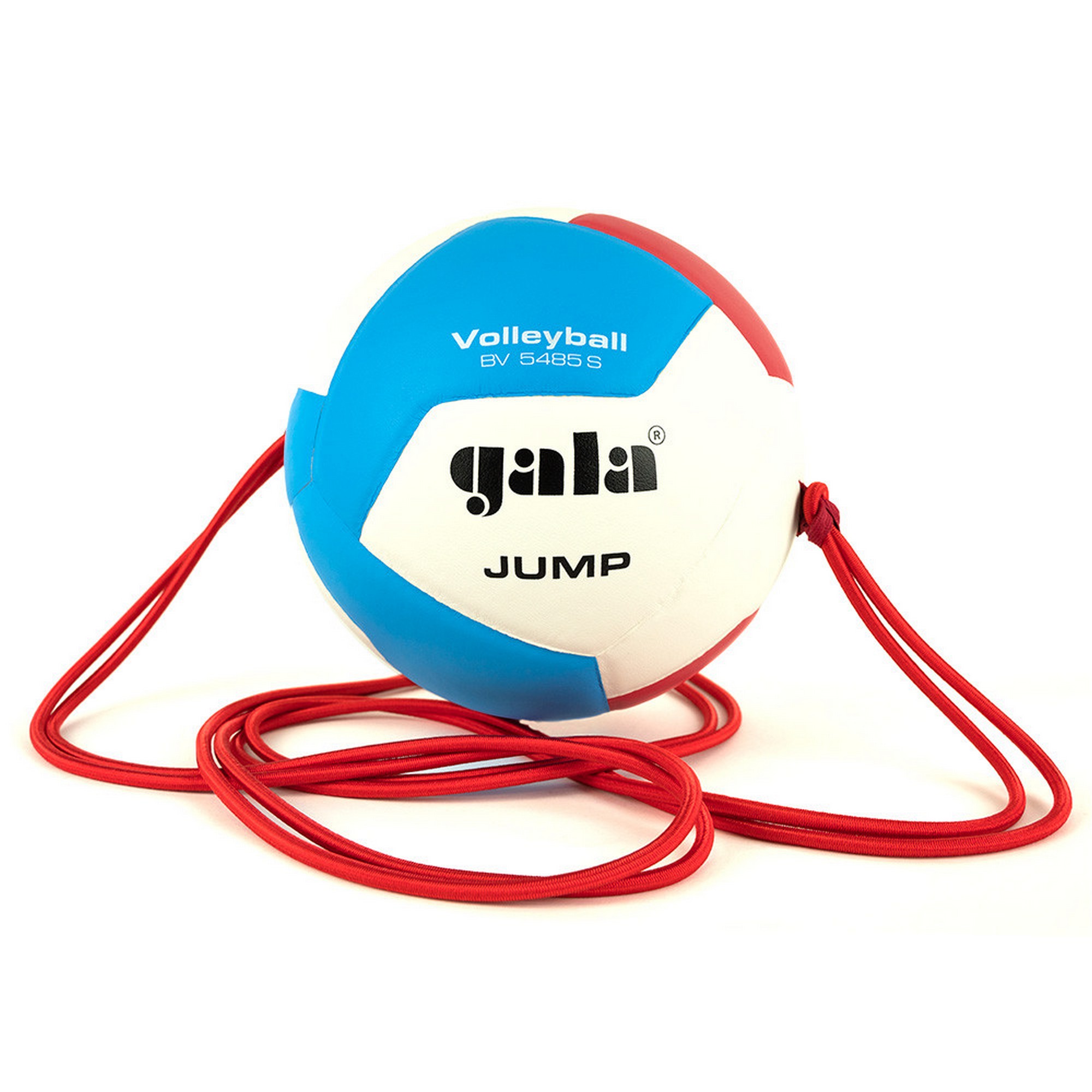Купить Мяч волейбольный на растяжках Gala Jump 12 BV5485S р.5,