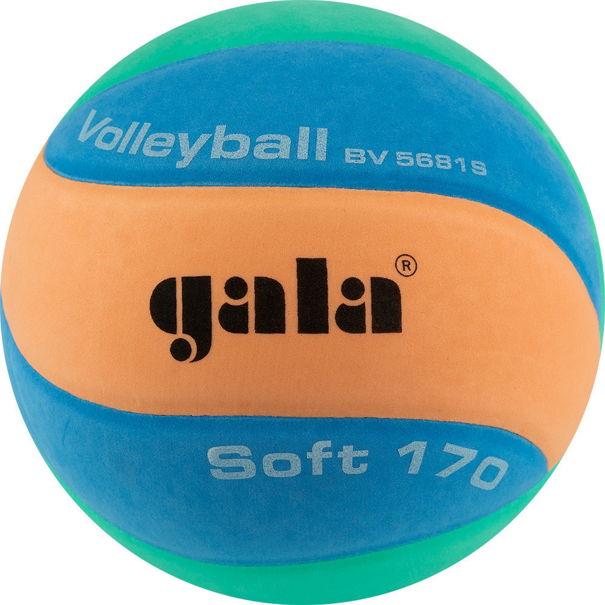 Купить Мяч волейбольный Gala 170 Soft 10 BV5681S р. 5,