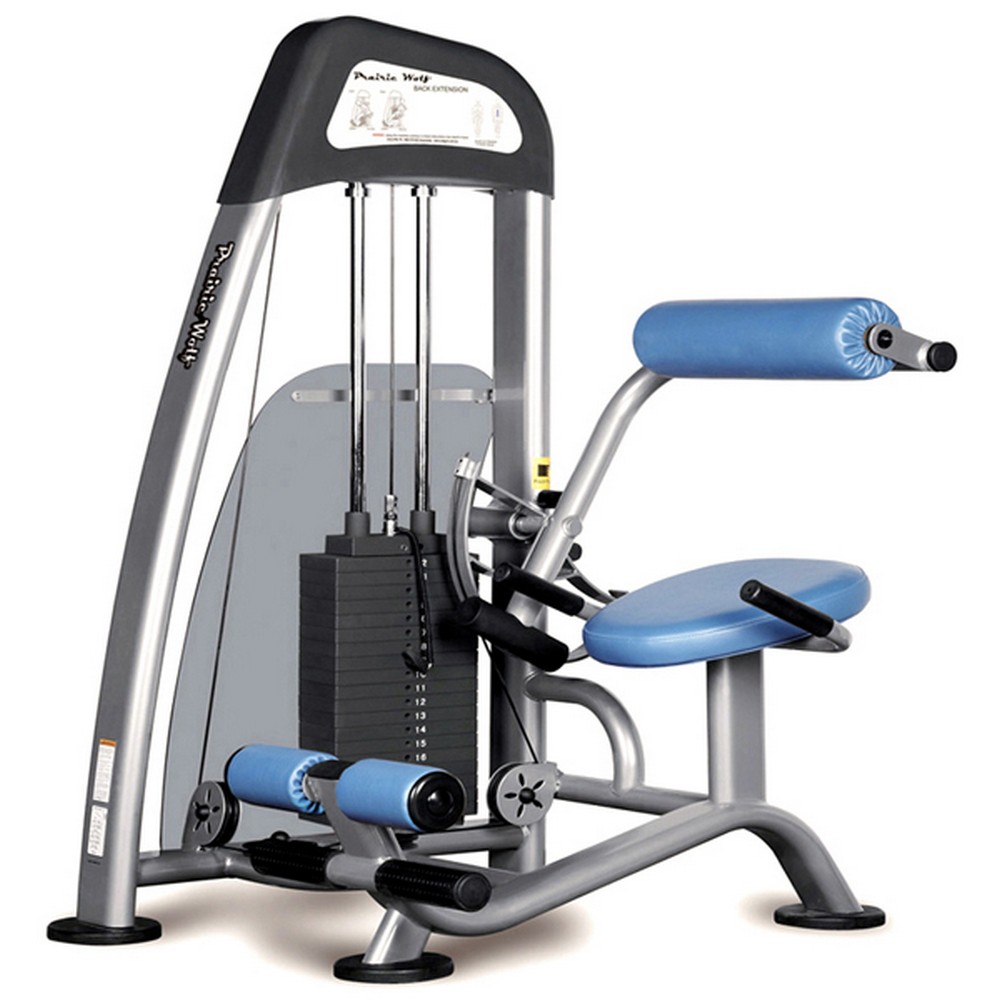 

Разгибание спины сидя Vertex NWS 173